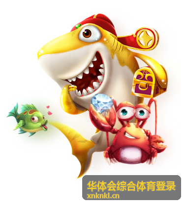 华体会综合体育登录账号输入与密码校验界面示意