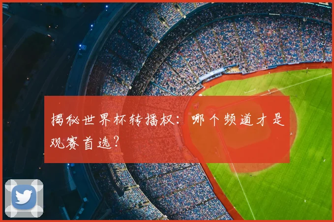 揭秘世界杯转播权：哪个频道才是观赛首选？