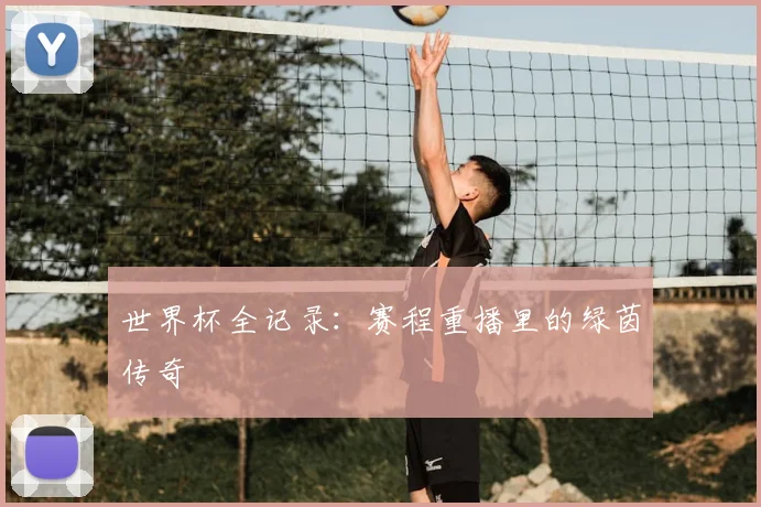 世界杯全记录：赛程重播里的绿茵传奇