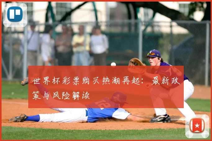 世界杯彩票购买热潮再起：最新政策与风险解读