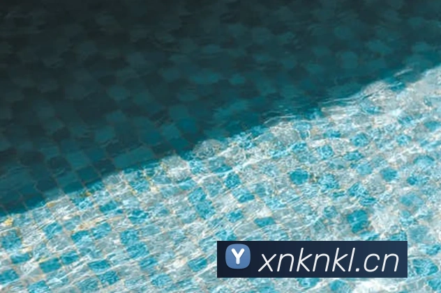 开云kaiyun入口平台生态图